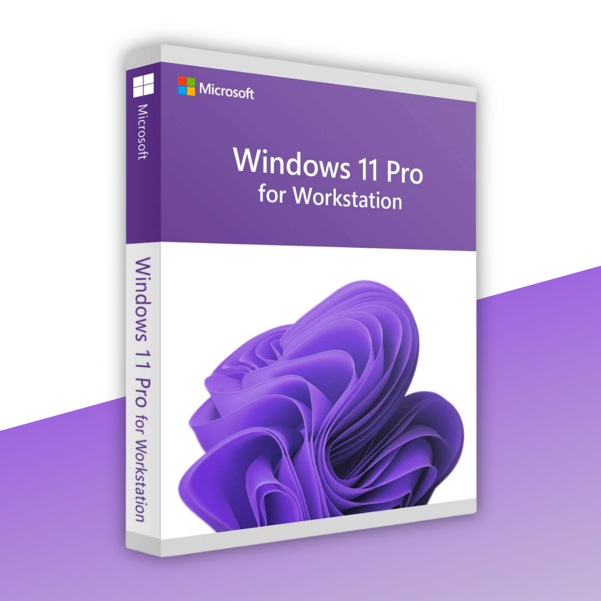 Windows 11 Pro for Workstation