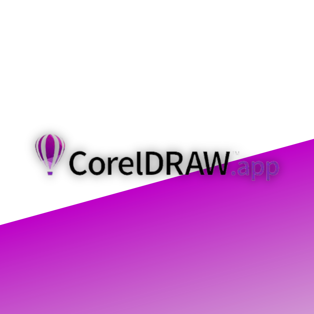 CorelDRAW.app Enterprise (1 Jahr)