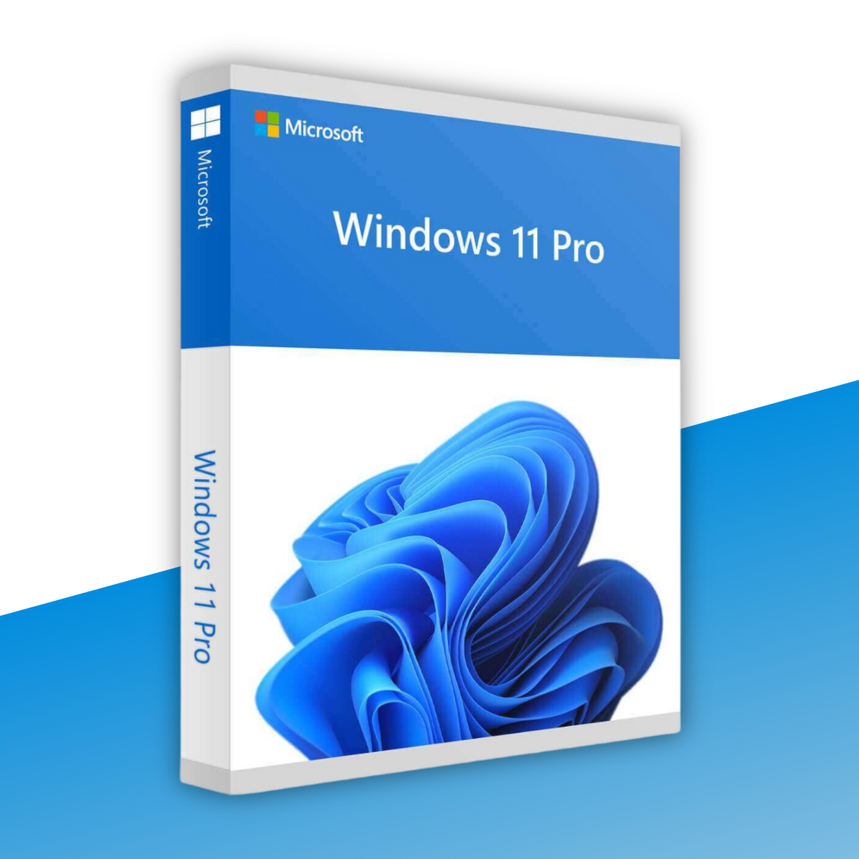 Windows 11 Professional