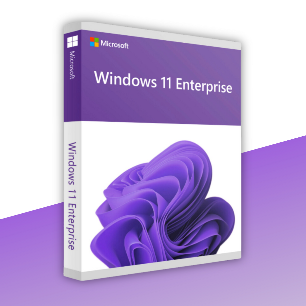 Windows 11 Enterprise
